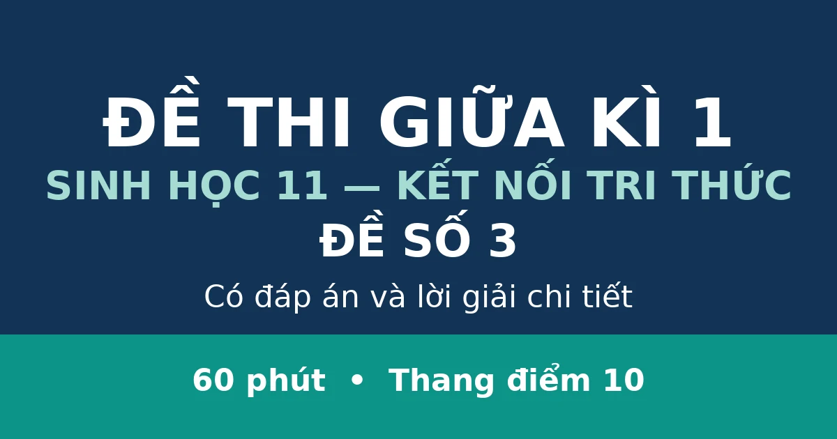 Đề thi giữa kì 1 Sinh học 11 có đáp án (Đề 3)