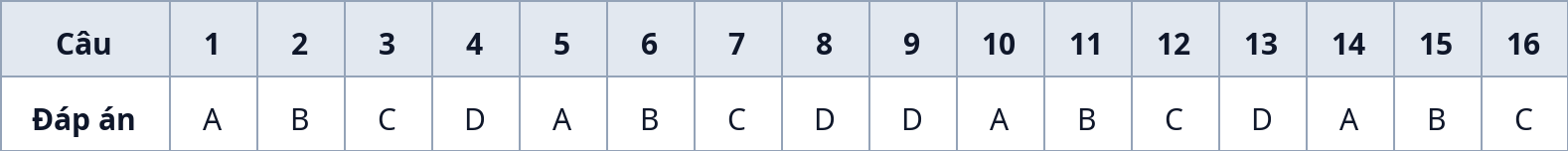 Bảng đáp án nhanh Phần I (Câu 1–16)