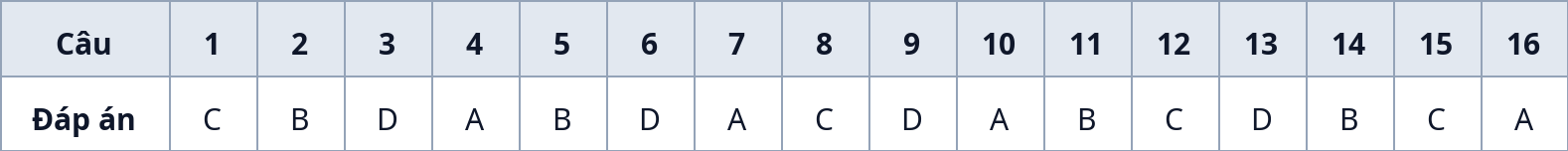 Bảng đáp án nhanh Phần I (Câu 1–16)