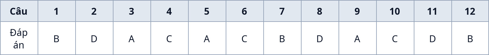 Bảng đáp án nhanh Phần I (Câu 1–12)