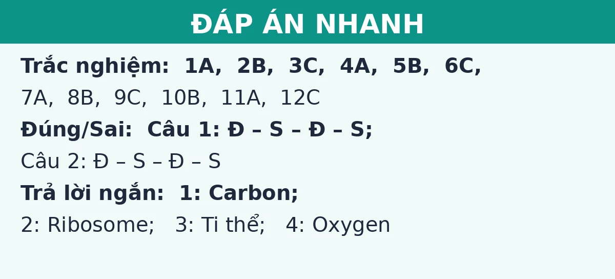 Đáp án nhanh đề thi giữa kì 1 Sinh học 10 (Đề số 2): trắc nghiệm, đúng sai và trả lời ngắn