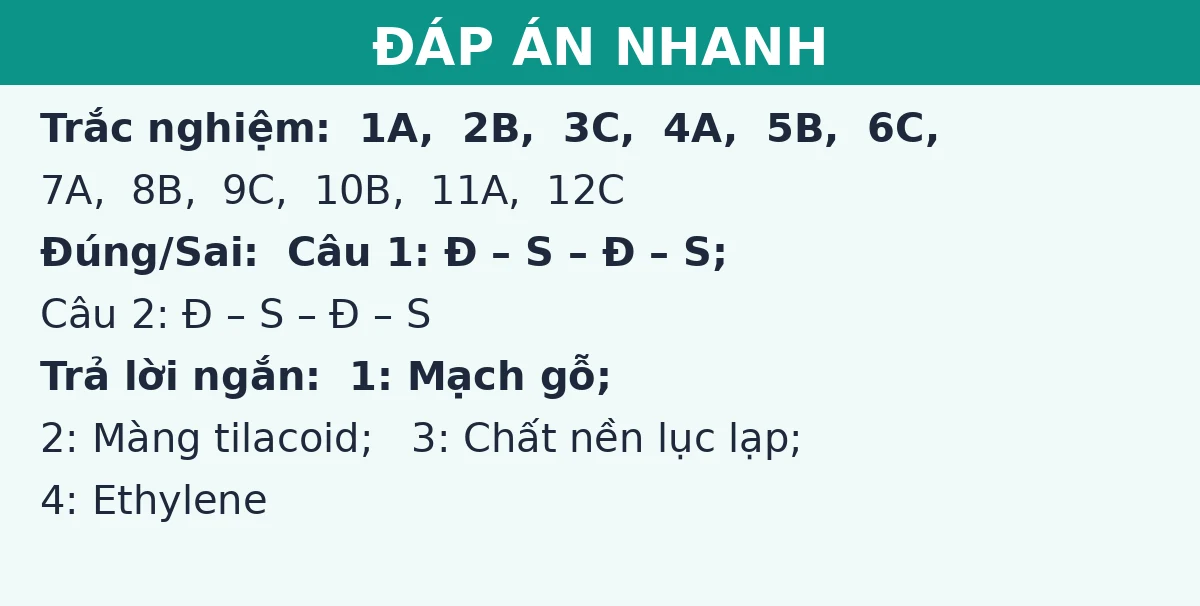 Đáp án nhanh đề thi giữa kì 1 Sinh học 11 (Đề số 2): trắc nghiệm, đúng sai và trả lời ngắn